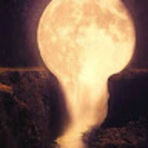 Meet your Posher, Devon